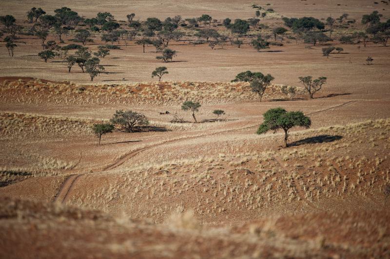 Namib Desert Lodge Solitaire Exterior foto